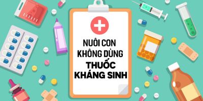 Nuôi con không dùng thuốc kháng sinh - Lê Anh Quốc