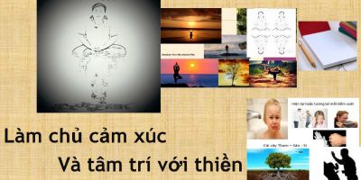 Tham, Sân, Si và Thiền trong quản trị cảm xúc - Đào Duy Văn