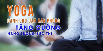 Yoga dành cho dân văn phòng - Alex Vinh