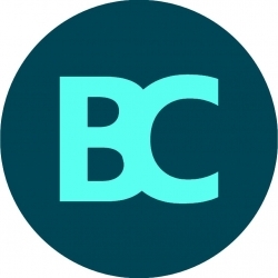 Bess Career